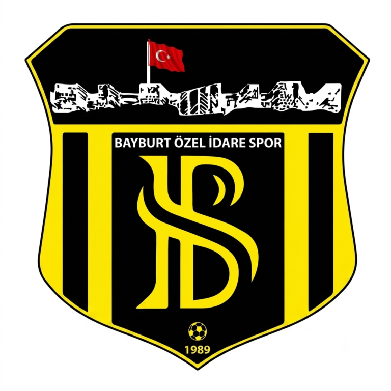Bayburt Özel İdarespor HD Logo
