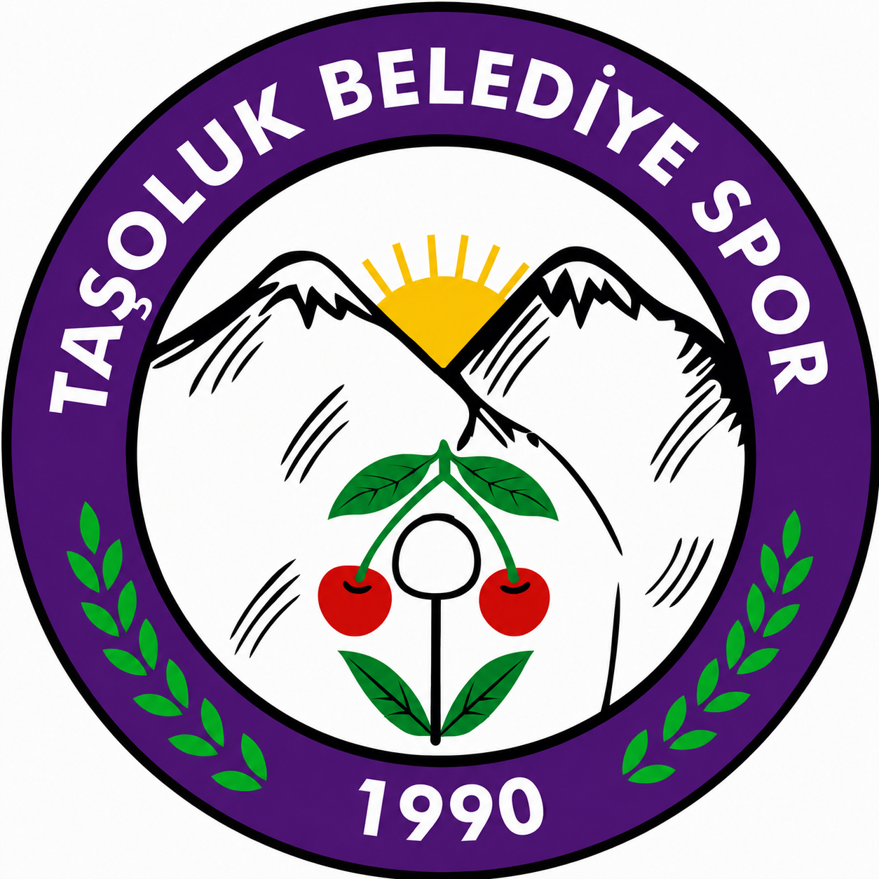 Taşoluk Belediyespor HD Logo